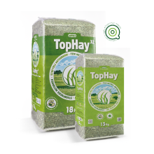 Tophay